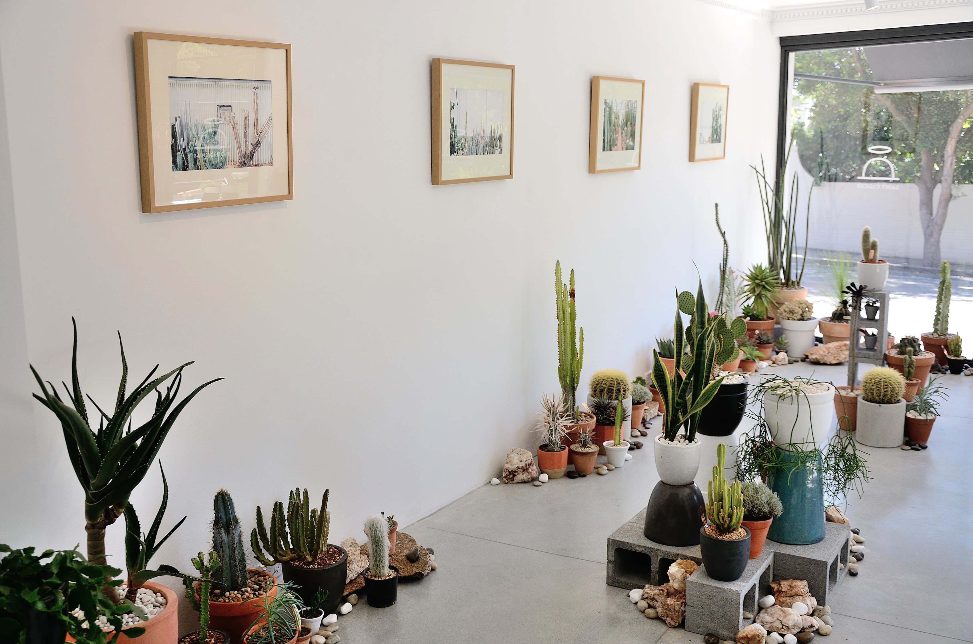 Saint Cloche Cactus Wonderland