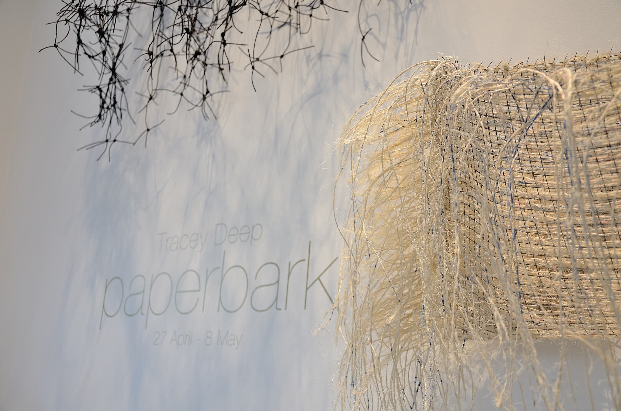 Saint Cloche Tracey DeepPaperbark